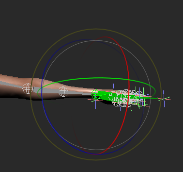 the process of mapping the bones