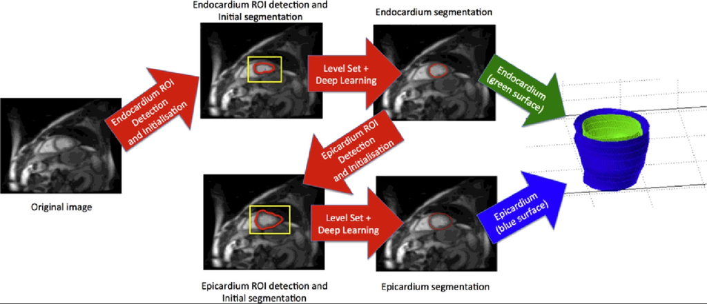 Combining deep learning and level set for the automated segmentation of the left ventricle of the heart from cardiac cine magnetic resonance